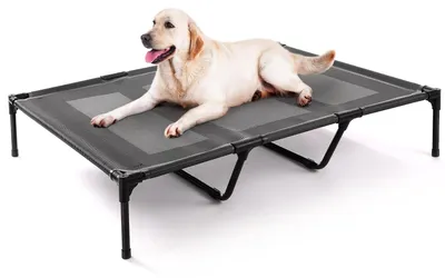 Image de Lit pour chien surélevé pour grands chiens jusqu'à 90 kg