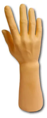 Image de Main d'homme comme support de bijoux pour chaînes, bagues, gants | main de décoration masculine pour des présentations professionnelles de bijoux | support de bagues - main de bijoux | support de montres | main de présentation couleur chair