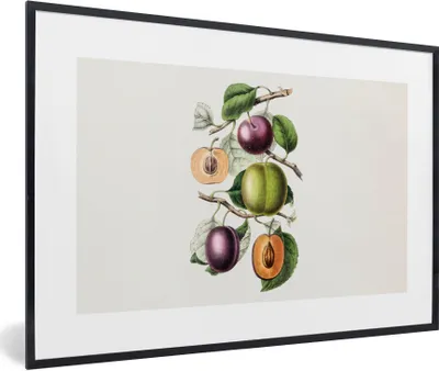 Produktbild von MuchoWow® Gerahmtes Poster Lebensmittel - Obst - Pfirsich 90x60 cm - Poster mit Schwarzem Bilderrahmen Wandposter Rahmen Foto Bilder - Fotorahmen - Foto-Plakat