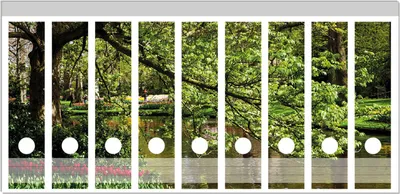 Produktbild von Wallario Ordnerrücken Sticker, selbstklebend für breite Ordner, 9 Stück, Motiv Bunte Blumen im Park am Wasser - Frühblüher am Ufer