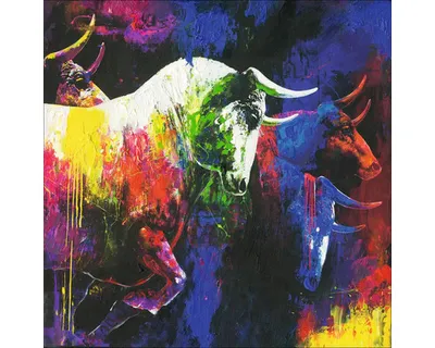 Produktbild von Leinwandbild Original Colourfull Bulls II 40x40 cm