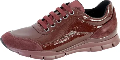 Image de Baskets D Sukie B