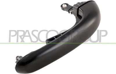Produktbild von PRASCO HN8168303 Türgriff für HYUNDAI SANTA FÉ II (CM)
