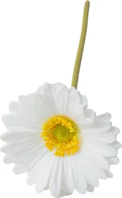 Produktbild von Künstliche Gerbera Jamesonii mit Stiel, realistische Kunstseidenblume, Tischdekoration für Zuhause und Büro, Kunstblumenzweig, Blumenarrangement, Dekoration