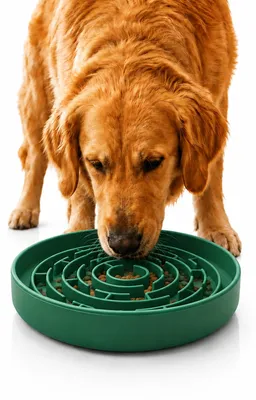 Image de Solidchoice - Bol pour animaux de compagnie, ralentisseur d'alimentation, avec base antidérapante, pour chiens et chats