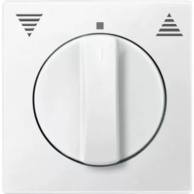 Produktbild von Merten Zentralplatte pws 538719