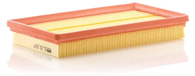 Image de Filtre à air MANN-FILTER C 31 012