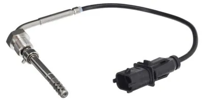 Image de Capteur, Abgastemperatur
