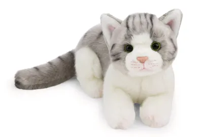 Produktbild von NICI Kuscheltier Katze grau 20cm