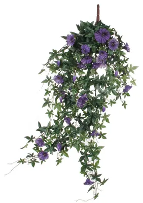 Produktbild von Mica Decorations Kunstliche Pflanze - Petunie - dunkelrosa - 80 cm
