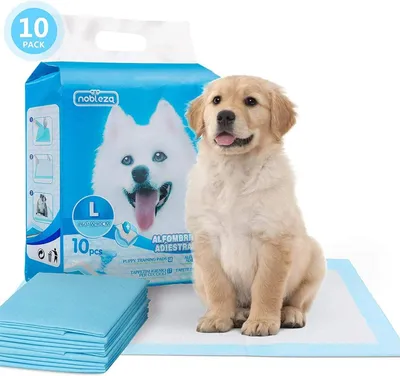 Immagine prodotto di Nobleza - Assorbenti per cuccioli, taglia L, 10 pezzi