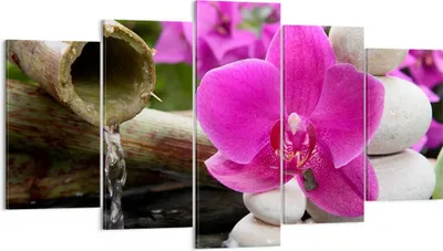 Produktbild von Bild auf Leinwand - Leinwandbild - Orchidee Bambus Dekoration Spa - 160x85cm - Wand Bild - Wanddeko - Leinwanddruck - Bilder - Kunstdruck - Wanddekoration - Leinwand bilder - Wandkunst - EA160x85-2666