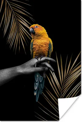 Produktbild von MuchoWow® Poster Grün - Papagei - Pflanzen 120x180 cm - Kunstposter