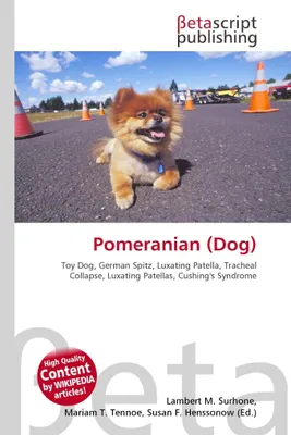 Produktbild von Zwergspitz (Hund)