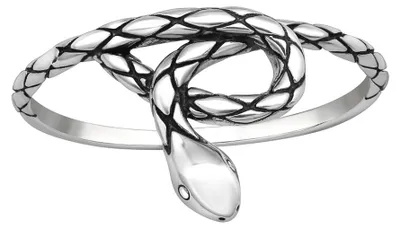 Produktbild von Schlangenring: Ring Schlange Silber 925 55 (17.5 mm Ø)