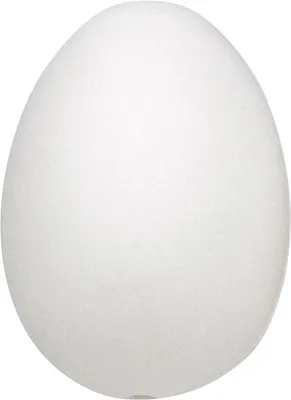 Productafbeelding van 50XKNORR prandell 216924000 Kunst.ei60x45ws