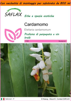 Immagine prodotto di SAFLAX Garden in the bag - Cardamomo - 20 semi - Elettaria