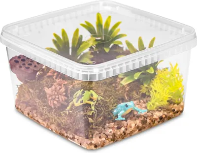 Produktbild von Terrario ReptiBox 19x19x12cm - durchsichtiges Faunarium-Terrarium Terrario