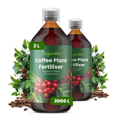 Produktbild von Kaffeepflanzen Flüssigdünger 2x1L – 2-1-8 NPK – Flüssigdünger Zimmerpflanzen – Für Blätter, Üppige Blüte & Fruchtbildung – Organifer