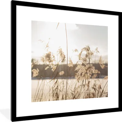 Produktbild von MuchoWow® Gerahmtes Poster Wasser - Pampasgras - Pflanzen 40x40 cm - Poster mit Schwarzem Bilderrahmen Wandposter Rahmen Foto Bilder - Poster - Plakat im Rahmen