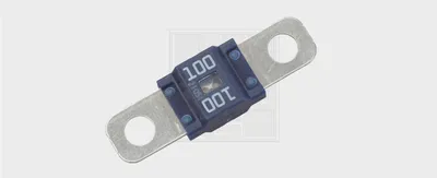 Image de Fusible SWGAutomotive 73130904080 Blister