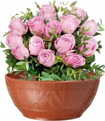 Produktbild von Holzschale 30cm Terrakotta Frostsicherer Kunststofftopf