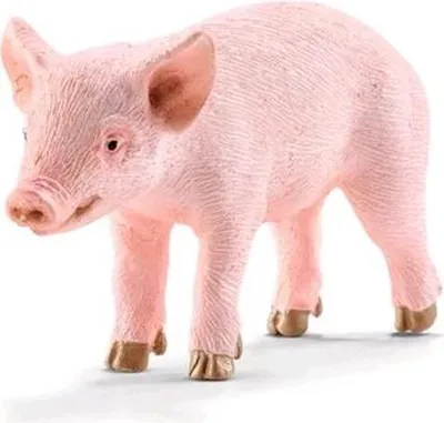 Produktbild von SCHLEICH - Farm World, Ferkel, stehend (5 ct.)