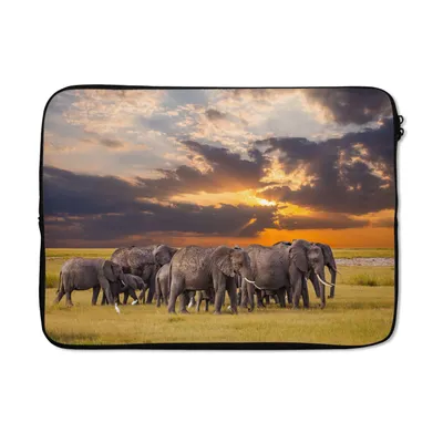 Produktbild von MuchoWow® Laptop Hülle 14 ZollElefant - Tiere - Gras - Sonnenuntergang - Natur Laptoptasche - Laptoptasche - Stoßsicher - Schutzhaube