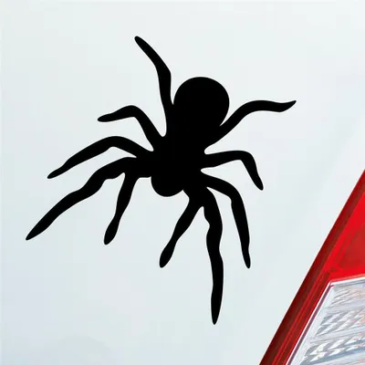 Produktbild von Auto Aufkleber Spinne Spider giftig Tier Ekel 10x10,5 cm Schwarz Glanz Sticker Heckscheibenaufkleber