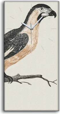 Produktbild von Küche Wohnzimmer Wand Leinwand Uhr 30x60 Zeichnung Tier Vogel Zweig Kunst - weiße Hände