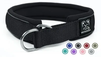 Image de Collier pour chien en néoprène, rembourré, réfléchissant, avec arrêt de traction, taille XL, noir, longueur 51-58,5 cm