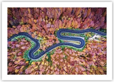 Produktbild von Poster - Poster ohne Rahmen - Kurvenreich Weg Wald - 70x50 cm - Wand Bild - Wanddeko - Wandbilder - Kunstposter - Wandposter - Bilder - Kunstdruck - Wanddekoration - Wandbild - P2XAA70x50-4291
