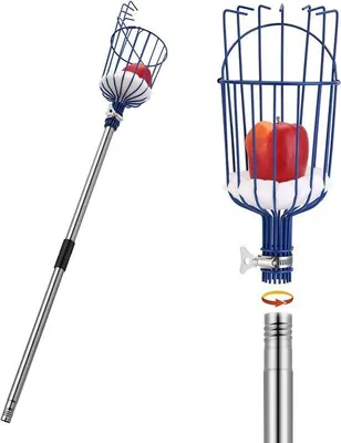 Productafbeelding van Vruchtenplukker met telescopische stang van roestvrij staal, 4 meter lang, met een flexibele houder voor appels en een antiaanbaklaag, een takkenplukker met een fruitschaal, een citroenplukker, stabiel en ruimtebesparend