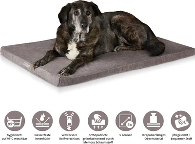 Obrázok produktu pre ONVAYA® ortopedický pelech pre psov | veľkosť S 62x44x5cm | vodeodolný, prateľný na 95 °C a veľmi pohodlný | sivý | dokonalé miesto na spanie pre šťastných psov