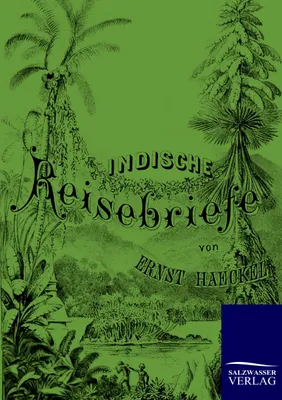 Produktbild von Indische Reisebriefe