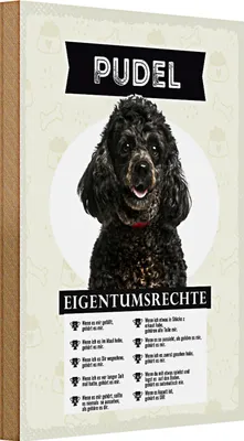 Produktbild von Holzschild Spruch 20x30cm Pudel Eigentumsrechte