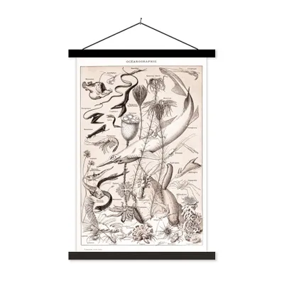 Produktbild von MuchoWow® Textilposter Tiere - Meerestiere - Schwarz - Weiß 40x60 cm mit schwarzem Rahmen - Wanddekorationen