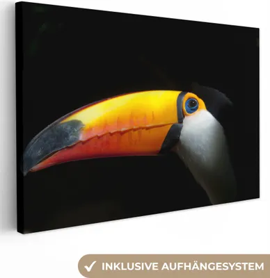 Produktbild von OneMillionCanvasses® - Leinwandbilder - 150x100 cm, Tukan - Vogel - Schnabel, Wandbilder Kunstdruck Wanddekoration