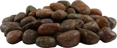 Produktbild von Dekosteine rot poliert 20 kg | Kieselsteine Garten 2-3 cm | Zierkies für Vasen | Flusssteine | Ziersteine | Flusssteine Pflanzen | Deko-Kies | Steine-Garten