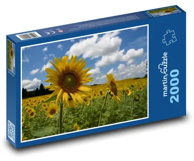Obrázok produktu pre martinpuzzle - Puzzle 2000 - Slnecnice