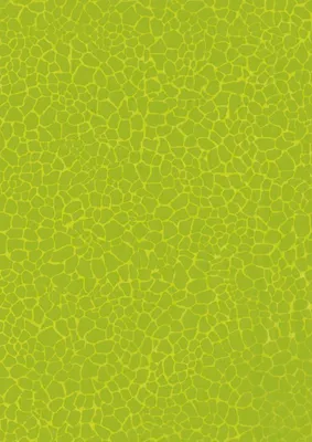 Produktbild von Décopatch Papier No. 531 Packung mit 20 Blätter (395 x 298 mm, ideal für Ihre Papmachés) grün, girafemuster