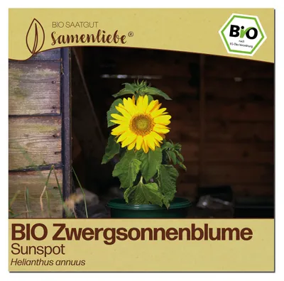 Produktbild von Samenliebe  Sonnenblume Samen | Sunspot - gelb & mini - samenfestes  Saatgut