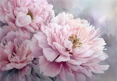 Produktbild von Fototapete Blumen Pfingstrosen Beton - 350x250 cm - Vliestapete Wohnzimmer Schlafzimmer - Vlies Fototapete Rosa - 16278VX7