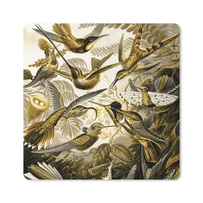 Produktbild von MuchoWow® Mauspad Mousepad Trochilidae - Ernst Haeckel - Gold 30x30 cm - Mousepads - Maus Mat - Pad - Mausunterlage - Gaming