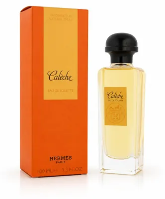 Produktbild von Hermes Caleche Femme EdT Vapo New 100 ml Damen Women Femme, KI-generiertes Bild