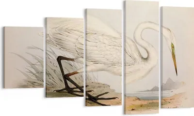 Produktbild von Bild auf Leinwand - Leinwandbild - 5 Teile - Vogel Weiß Reiher - 100x60cm - Wand Bild - Wanddeko - Wandbilder - Leinwanddruck - Bilder - Wanddekoration - Leinwand bilder - Wandbild - EG100x60-4979
