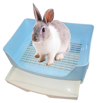 Image de Grande litière pour lapin Kathson, idéale pour l'apprentissage, avec une petite toilette d'angle et un tiroir