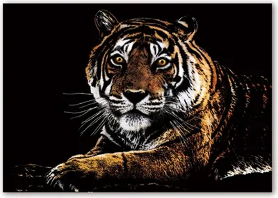 Image de Cartes à gratter magiques Beau tigre 40x28 cm