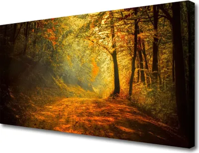 Produktbild von Tulup Leinwand-Bilder 100x50 Wandbild Canvas Kunstdruck Wald Natur
