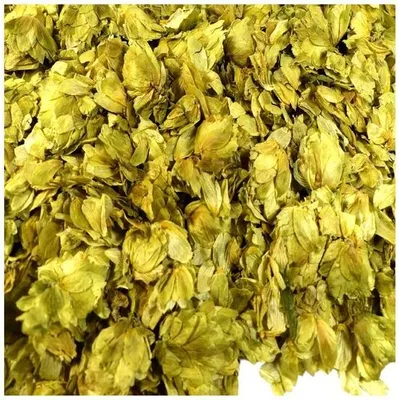 Produktbild von Hopfenblüten ganz Naturideen® 75g
